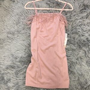 Iris Basic Pink Feathered Mini Dress